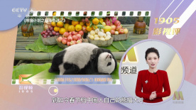 欧美 日韩 在线 一区